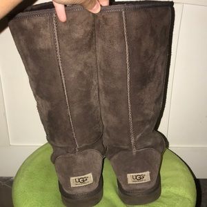 Tall chocolate Uggs